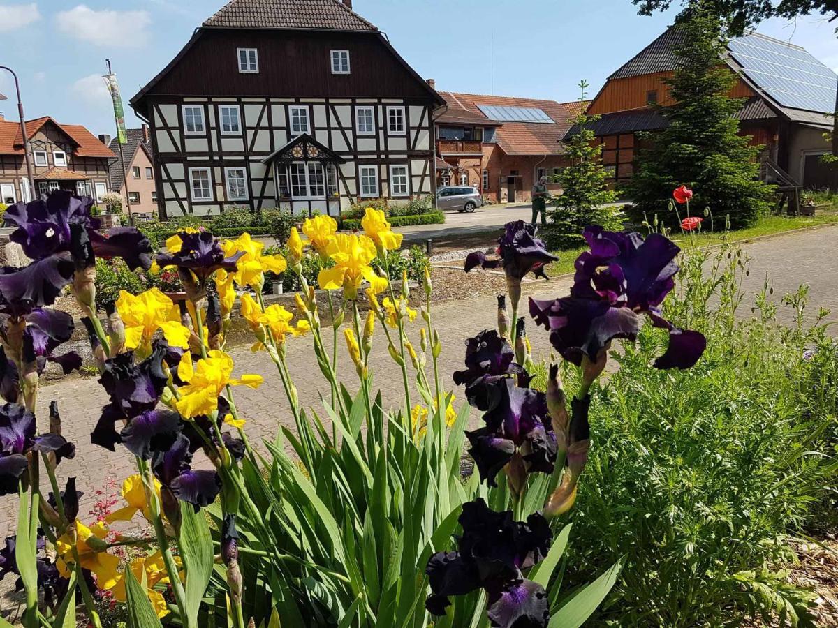 Muellers Hof Ferienwohnung/Pension Emmerthal Esterno foto